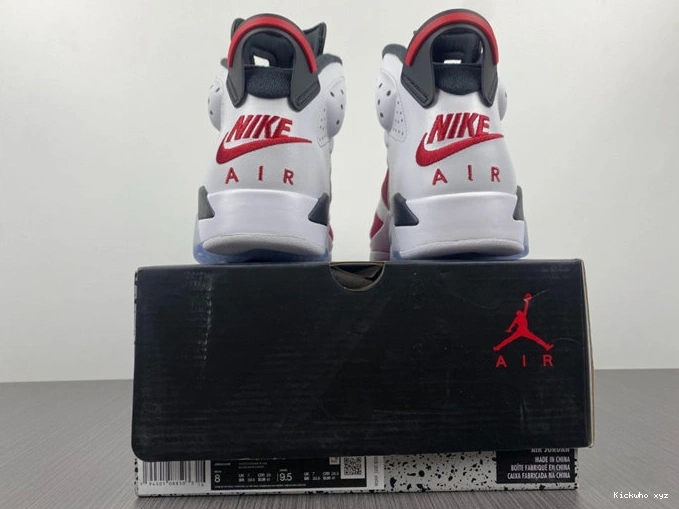 Carmine CT8529- Sleek 4032  Jordan6 1029